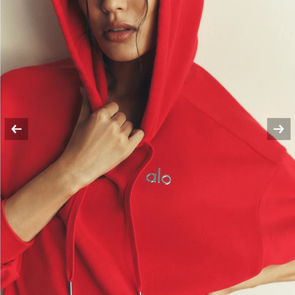 ALO Yoga Accolade Hoodie NWT (M) - Picture 2 of 5